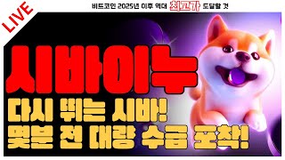 [시바이누] 다시 뛰는 시바! 몇분 전 대량 수급 포착!