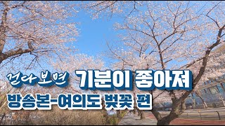 [4K] 걷다보면 기분이 좋아져-여의도 벚꽃편 방송분