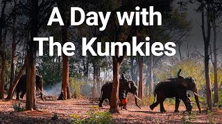 A Day with The Kumkies- Trailer