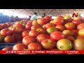 anantapur tomato farmers suffer huge loss as tomato rate fall less than one rupee per kg ntv