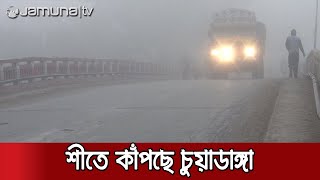 চুয়াডাঙ্গায় তীব্র কুয়াশা আর হিমেল হাওয়ায় বিপর্যস্ত ছিন্নমূলরা | winter