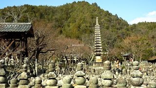 化野念仏寺　京都の庭園　Adashi-no-nenbutsu-ji Temple The Garden of Kyoto Japan Full HD