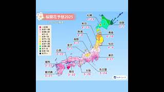 第375回｜2025日本櫻花預測出爐！東京、京都、北海道開花時間大公開！