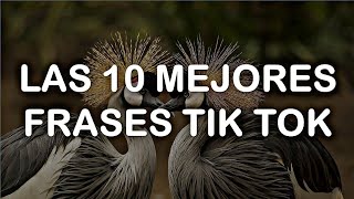 10 MEJORES FRASES DE TIK TOK AESTHETIC/ 2022💕 FRASES DE TIK TOK🚀