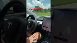 Tesla Full Self Driving Test