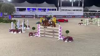 VDL Edgar M (by Arezzo VDL) wins 5* Grand Prix St. Tropez- first round