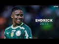 Endrick 2023 - Magic Skills, Goals & Assists | HD