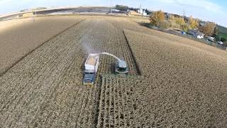 2014 Corn- From Seed to Feed in Southern Alberta