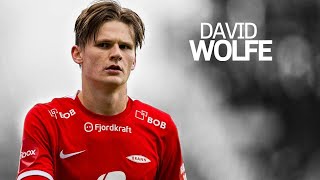 David Møller Wolfe ● 2023