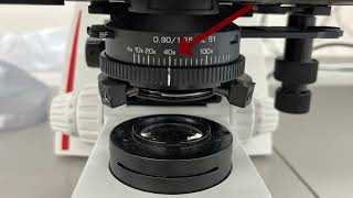 Basic Introduction to Microscope Use
