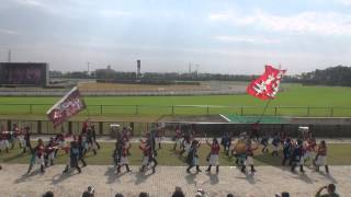 2013　11　04　豊明まつり　縁舞祭　ツインハット会場 豊明乱舞