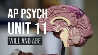 AP Psychology | Myers’ Unit 11