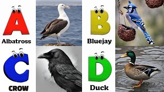 Birds Alphabet Song for Kids | Birds ABC Song | Phonics for Kids | Alphabet Letters | Baby