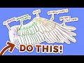Don't Draw WINGS Like This!