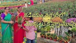 కడియం మరియు కడియపు లంకలో మొక్కల నర్సరీలు చూడండి | INDOOR PLANTS AND OUT DOOR PLANTS | svl vlogs