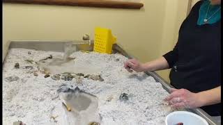 Mock stream table shows a flood's destruction