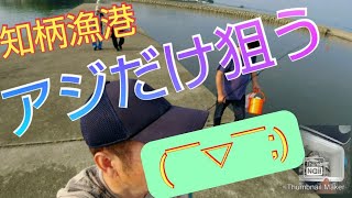 【愛知県釣り】マメアジ狙いでまさかの大物○○○が…