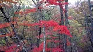 高山村松川渓谷舞の道紅葉2015