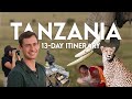 13-Day Itinerary: Tanzania Safari (Serengeti, Tarangire, Zanzibar, and More!)