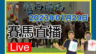 新【賽馬】SSTM 賽馬直播｜賽馬貼士｜日馬賽事｜識西睇馬29/01/2022(日)