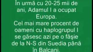 Originea europenilor