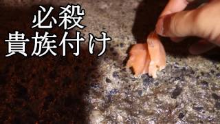 「釣ったアナゴで天丼食べるぞ」 in 八丈島