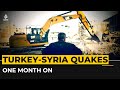 Turkey-Syria earthquake, one month on