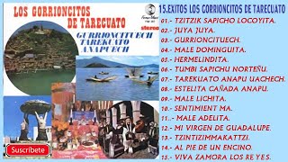 15 EXITOS DE LOS GORRIONCITOS DE TARECUATO MUSICA PUREPECHA.