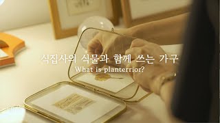 ep.2 식집사의 식물과 함께 쓰는 가구 | 내 라이프스타일에 맞춘 가구 | 플랜테리어