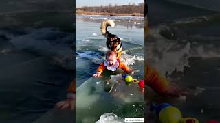 Dog pushes baby to shore after ice breaks