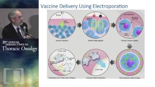 New vaccines and other immunologic strategies in the management of NSCLC