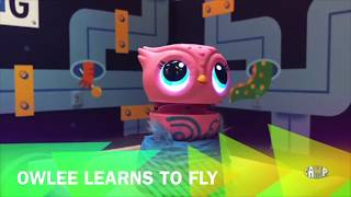 Camp Store: CampTV: Campimation: Owleez Learns To Fly!