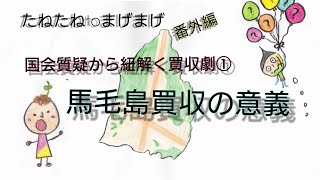 『馬毛島買収の意義』馬毛島買収問題について国会中継から紐解く①．．たねたねtoまげまげ🌱種子島to馬毛島