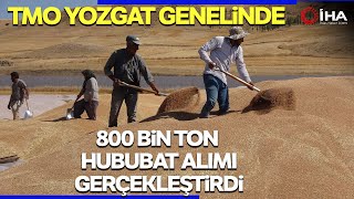 TMO Yozgat Genelinde 800 Bin Ton Hububat Alımı Gerçekleştirdi