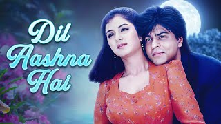 शाहरुख़ ख़ान और दिव्या भारती की FAMOUS मूवी | SRK & Divya | Dil Aashna Hai 4K Full Movie