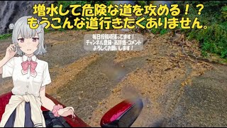 もうこんな道行きたくありません。【悪路実況】 #車載動画 #新潟 #酷道 #国道352号線 #洗い越し #落石 #増水 #危険 #小春六花 #はにわドローン