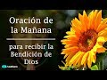 Oración de la Mañana para ser bendecido por DIOS