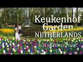 Watch this before you go to KEUKENHOF GARDEN🌷| Netherlands Ep2 (Guide, tips and vlog on visiting)