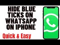 HOW TO HIDE BLUE TICKS ON WHATSAPP ON IPHONE 2023