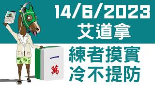 【賽馬貼士】【馬師父】跑馬地草地 (6月14日) I 三寶頭關R7揀冷門！練馬師一手摸實 冷不提防爆一舖！