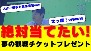 大谷翔平が東京に帰ってくる！伊藤園が夢の観戦チケットプレゼント企画を発表！ドジャースのスター選手も緊急来日で話題沸騰中！