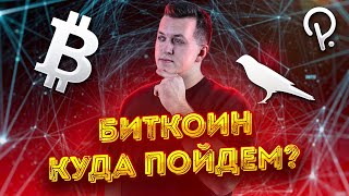 Coinlist - лучший путь для новичка 🔥 Биткоин - варианты развития 🙏 Парачейны, DOT/KSM