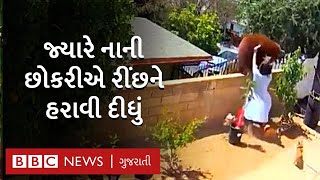 17 વર્ષની છોકરી રીંછ સામે લડી, અમેરિકાની ઘટના | Bear Attack Dogs | girl fight with bear