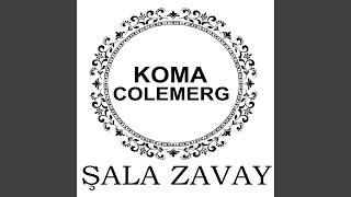 Şala Zavay (feat. Berşan Duman)