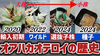 【命名から5年】オテロイの歴史とその風貌に迫る‼︎