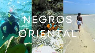 Negros Oriental: Apo Island, and the Maldives of the PHILIPPINES | Come waste your time with me