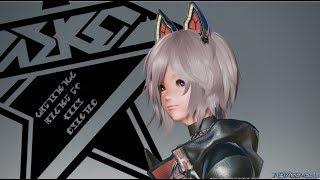 【PSO2:NGS】今日も気ままに・・・