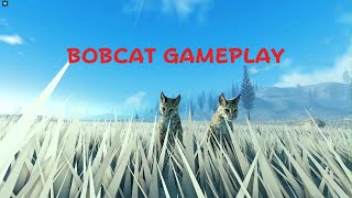 Roblox Yellowstone unleashed (Bobcat GamePlay)🐆