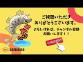 【山奥のダム】巨大なプールには、巨大な魚がいた！？