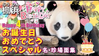 【楓浜（ふうひん）】祝🎉4歳お誕生日🎂記念⭐️名・珍場面集🤗